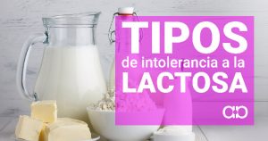 tipos intolerancia lactosa alberdi aparato digestivo