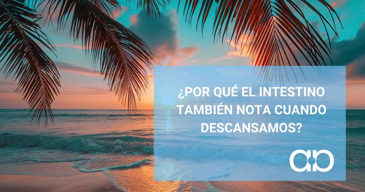 Estrés, relax y aparato digestivo: ¿por qué el intestino también nota cuando descansamos?