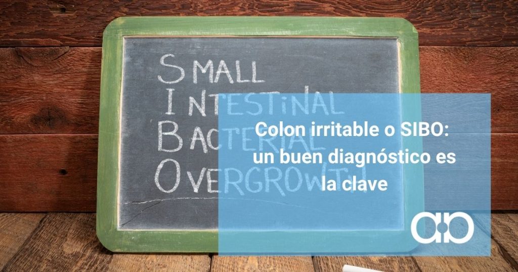 Colon irritable o SIBO: cómo diferenciarlos y por qué un buen diagnóstico es la clave